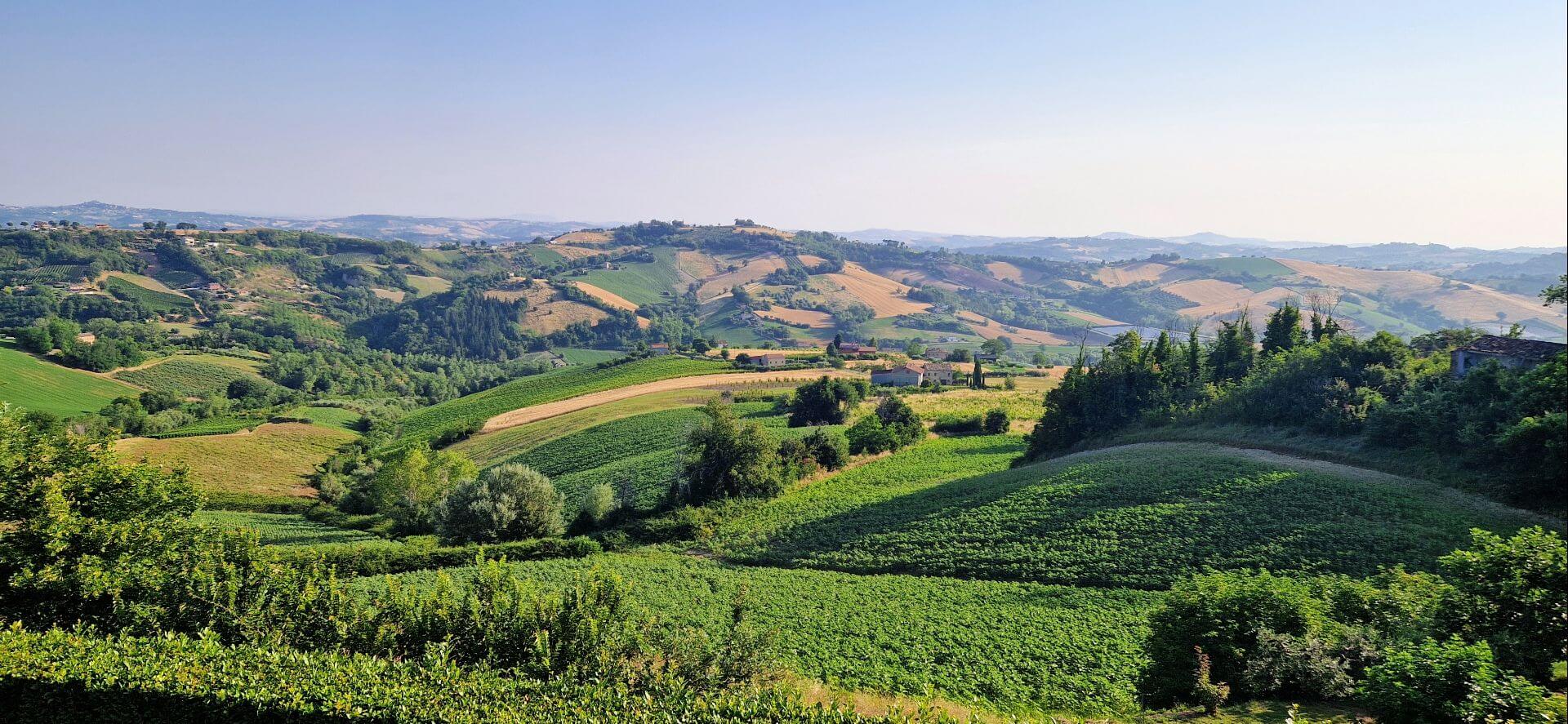 uitzicht op de heuvels rondom onze accommodatie