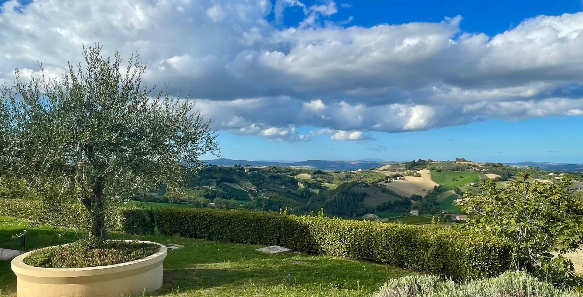 het uitzicht vanuit de tuin